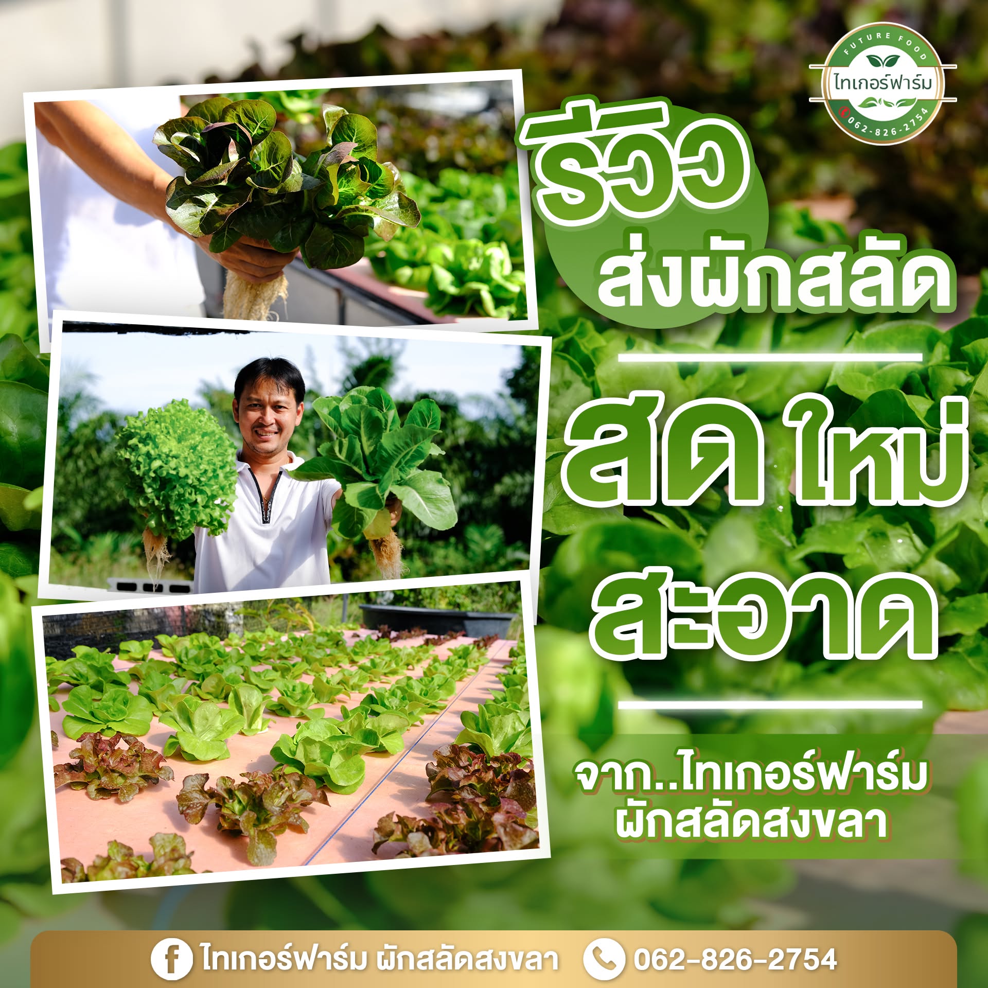 กรีนคอส