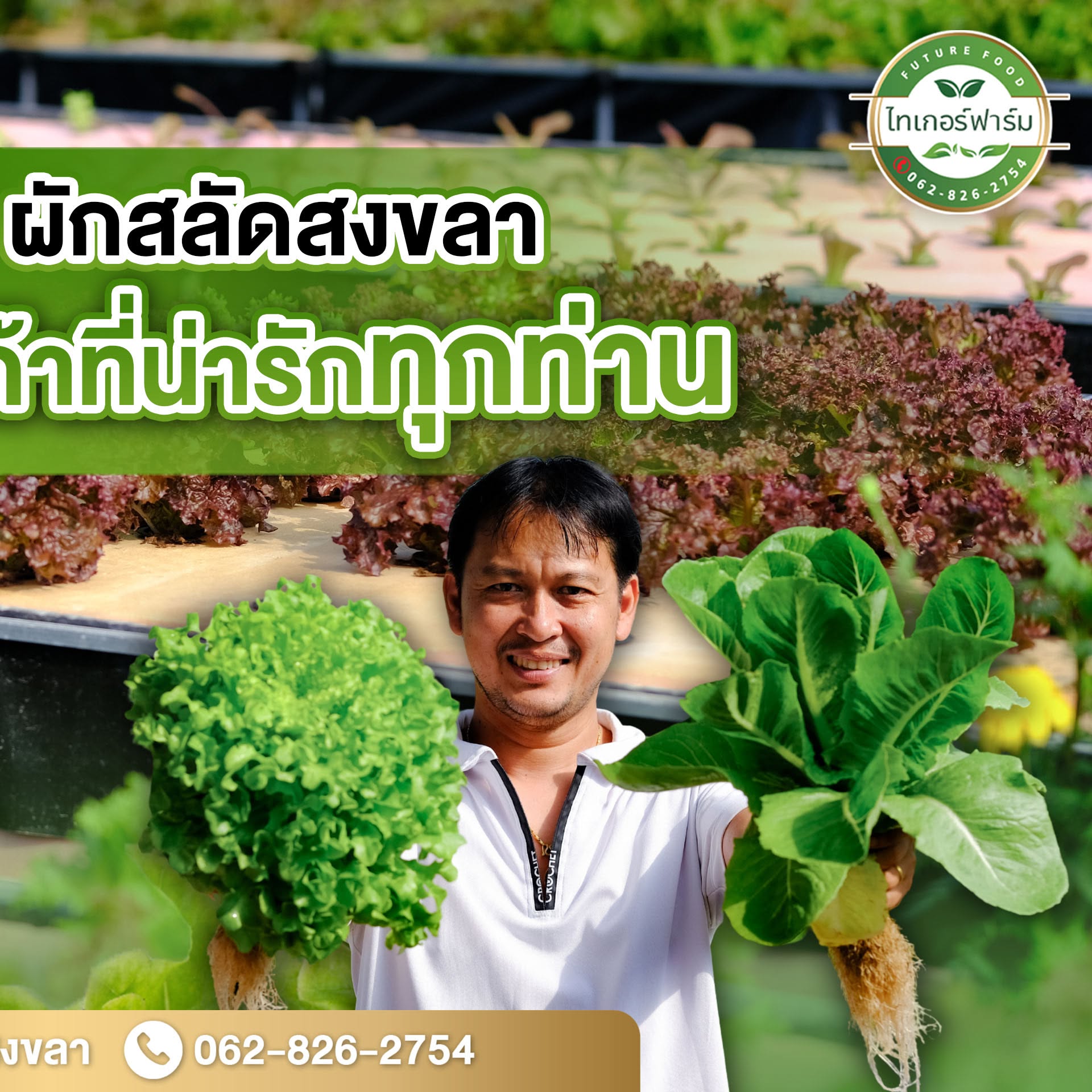 เรดโอ๊ค