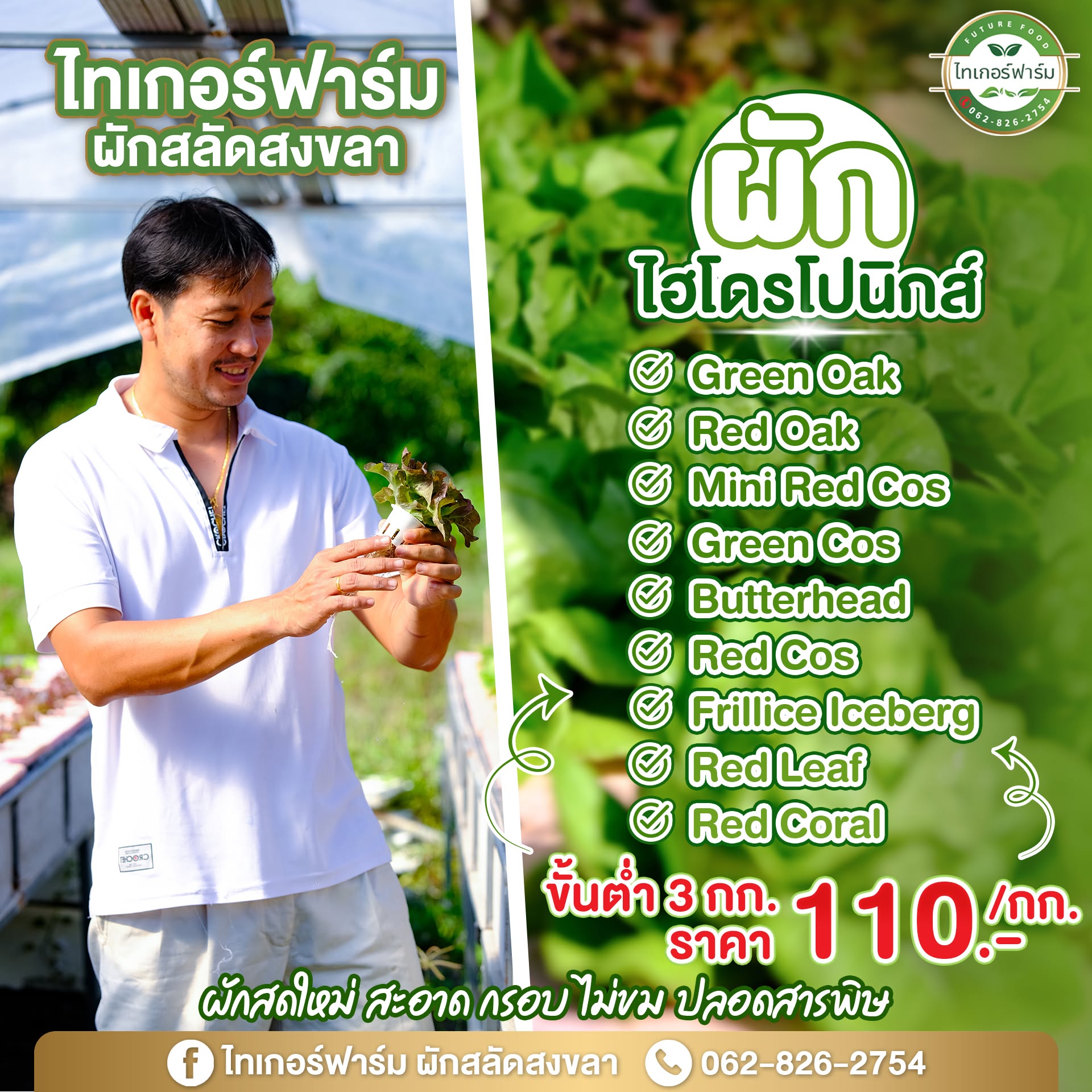 ผักพร้อมส่ง
